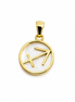 Mother of Pearl and Gold over Sterling Sagitarius Pendant