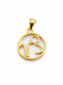 Mother of Pearl and Gold over Sterling Capricorn Pendant