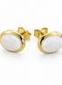 Stone and Gold over Sterling Earrings