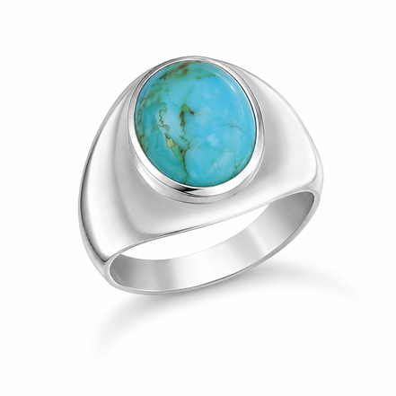 Turquoise and Sterling Sleek Wide Band Ring