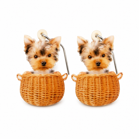 Stainless Steel French Hook Earrings