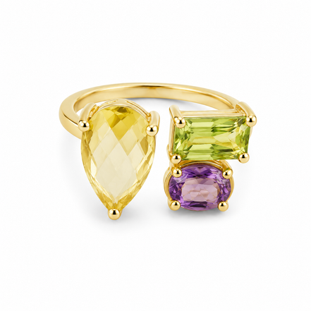 Multi Gemstone and Gold over Sterling Ring